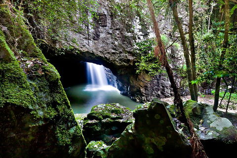 Natural Bridge & Springbrook Waterfalls Tour + Hot Air Balloon With Breakfast - Accommodation in Brisbane 4