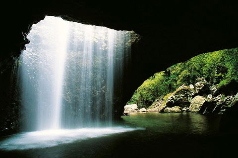 Natural Bridge & Springbrook Waterfalls Tour - Accommodation in Brisbane 0