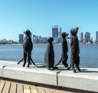 Perth by Bike Private Tour with a Local - Accommodation in Brisbane