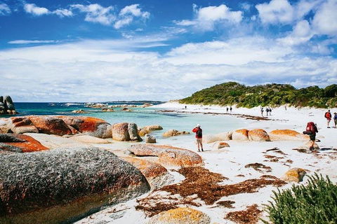 Wineglass Bay Private Charter Service - Accommodation in Brisbane 3