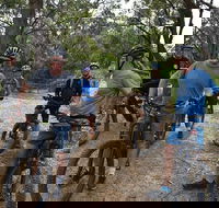 Fully guided E-Mountain Bike Tour on the beautiful Mornington Peninsula. - Accommodation in Brisbane