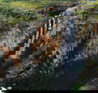 7 Days Darwin Kakadu National Park Katherine Gorge Touring Package - Accommodation in Brisbane