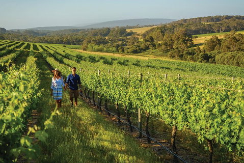 6 Days Perth All-Inclusive Touring Package With Wildflowers ( Seasonal) - Accommodation in Brisbane 4