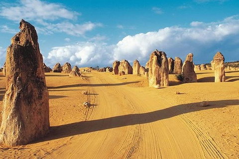 6 Days Perth All-Inclusive Touring Package With Wildflowers ( Seasonal) - Accommodation in Brisbane 5
