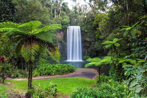 Cairns & Port Douglas All-Inclusive 7 Days Touring Package - Accommodation in Brisbane 2