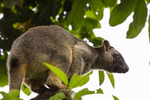 Cairns & Port Douglas All-Inclusive 7 Days Touring Package - Accommodation in Brisbane 3