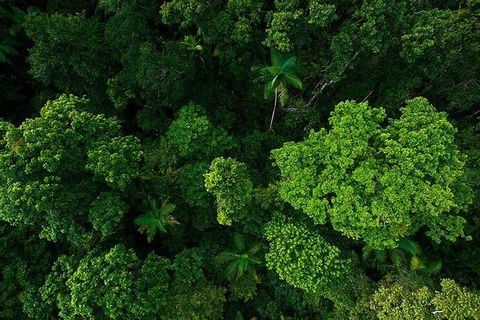 Cairns & Port Douglas All-Inclusive 7 Days Touring Package - Accommodation in Brisbane 4