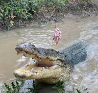 Top End Waterfalls and Wetlands - Accommodation in Brisbane