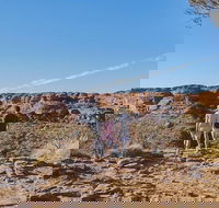 The Amazing Kings Canyon 4-Hours Walking Tour and Hike - Accommodation in Brisbane