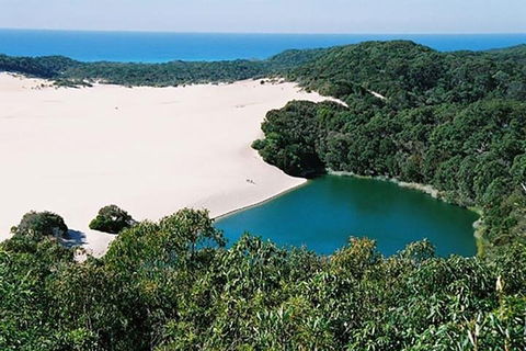 Full-Day Moreton Island 4x4 Sightseeing Tour - Accommodation in Brisbane 5