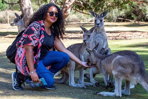 3-Day Tasmania Combo: Hobart To Launceston Active Tour - Accommodation in Brisbane 5