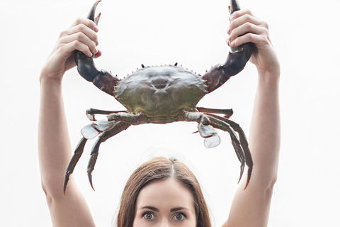 The Ultimate Gold Coast Attractions Pass - Accommodation in Brisbane 0