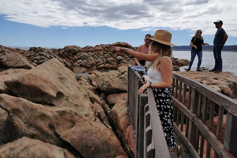 Margaret River Impression Day Tour From Perth - Accommodation in Brisbane 4