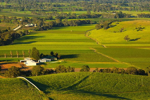 Full-Day Wine World Tour In Barossa - Accommodation in Brisbane 2