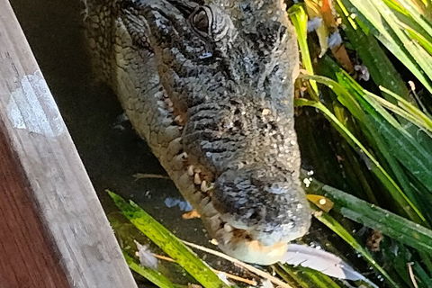 Litchfield Park Adventures And Jumping Crocodile Cruise + Butterfly Farm - Accommodation in Brisbane 1