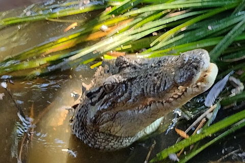 Litchfield Park Adventures And Jumping Crocodile Cruise + Butterfly Farm - Accommodation in Brisbane 4