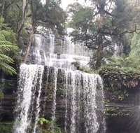 6-Day Hearty Tasmania Tour Tasmania in a Circle - Accommodation in Brisbane