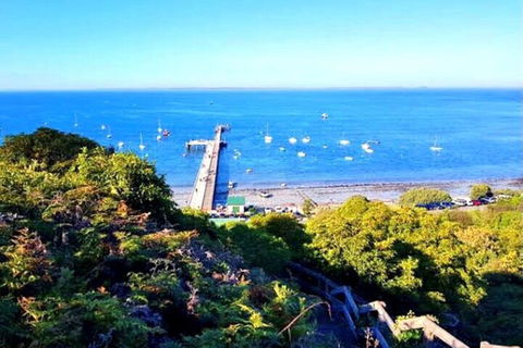 Mornington Peninsula Sightseeing Tour For 2-6 Guests. - Accommodation in Brisbane 1