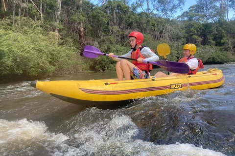 Yarra River Half-Day Rafting Experience - Accommodation in Brisbane 1
