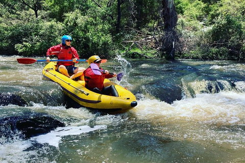 Yarra River Half-Day Rafting Experience - Accommodation in Brisbane 4