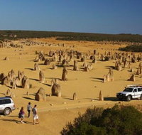 1-Day Pinnacles and Yanchep Tour from Perth including Fish and Chips Lunch - Accommodation in Brisbane