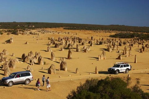 1-Day Pinnacles And Yanchep Tour From Perth Including Fish And Chips Lunch - Accommodation in Brisbane 0