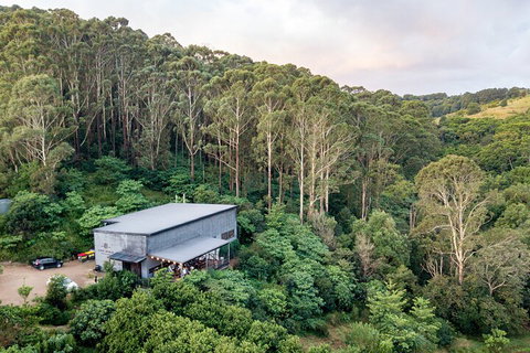 Full-Day Tour To Byron Bay Best Food And Drink Spots - Accommodation in Brisbane 3