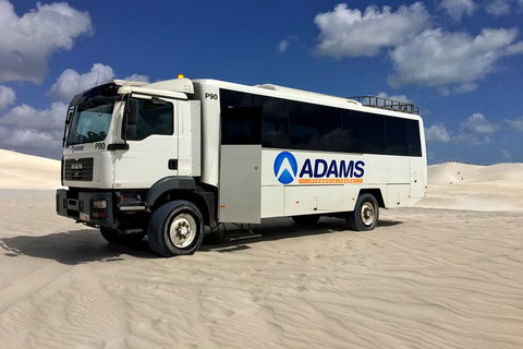 Pinnacles Desert, Koalas And Sandboarding 4WD Day Tour From Perth - Accommodation in Brisbane 2