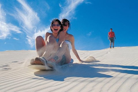 Pinnacles Desert, Koalas And Sandboarding 4WD Day Tour From Perth - Accommodation in Brisbane 3