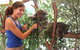 Pinnacles Desert, Koalas And Sandboarding 4WD Day Tour From Perth - thumb 5