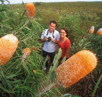 Best of Perth Wildflower Season Day Trip - Accommodation in Brisbane