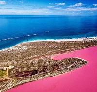 Pink Lake Small-Group Buggy Tour - Accommodation in Brisbane
