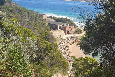 Fort Nepean And Quarantine Station Tour - Accommodation in Brisbane 4