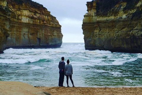 Great Ocean Road Small-Group Ecotour From Melbourne - Accommodation in Brisbane 1