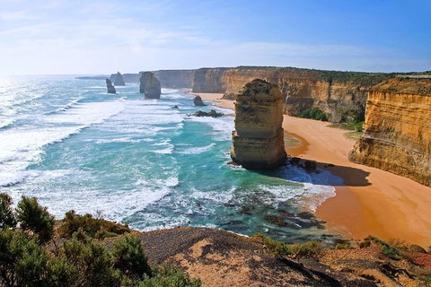 Great Ocean Road Small-Group Ecotour From Melbourne - Accommodation in Brisbane 2