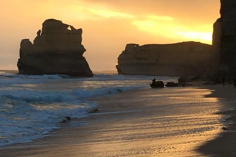 Great Ocean Road Small-Group Ecotour From Melbourne - Accommodation in Brisbane 5