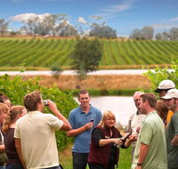 Yarra Valley Wine and Winery Tour from Melbourne - Accommodation in Brisbane