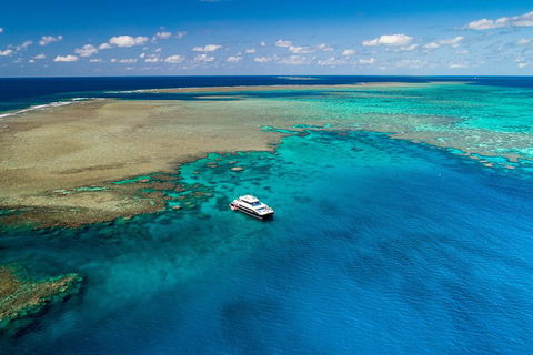 Calypso Outer Great Barrier Reef Cruise From Port Douglas - Accommodation in Brisbane 1
