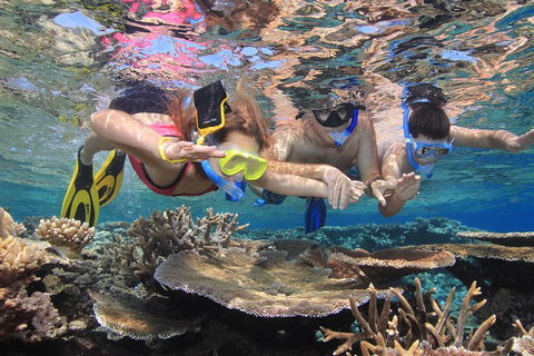 Calypso Outer Great Barrier Reef Cruise From Port Douglas - Accommodation in Brisbane 3