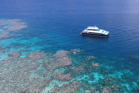 Calypso Outer Great Barrier Reef Cruise From Port Douglas - Accommodation in Brisbane 4