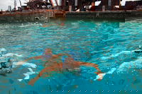 Moreton Island Snorkel and Sandboarding 4WD Day Trip from Brisbane