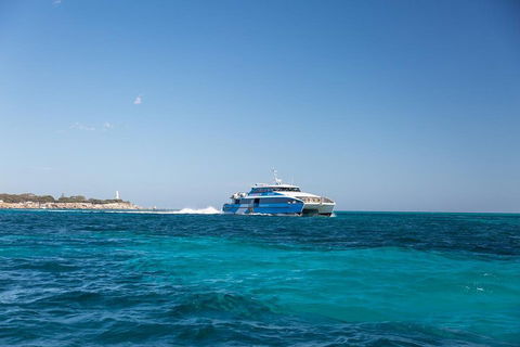 Fremantle To Rottnest Island Roundtrip Ferry Ticket - Accommodation in Brisbane 5