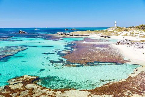 Rottnest Island Bike, Snorkel & Ferry Package From Fremantle - Accommodation in Brisbane 4