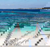 Perth to Rottnest Island Roundtrip Ferry Ticket - Accommodation in Brisbane