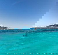 Rottnest Island Bayseeker Day Trip from Perth - Accommodation in Brisbane