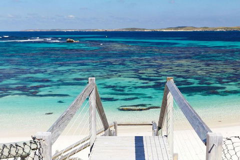 Rottnest Island Bayseeker Day Trip From Perth - Accommodation in Brisbane 3