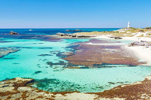 Rottnest Island Bayseeker Day Trip From Perth - Accommodation in Brisbane 4