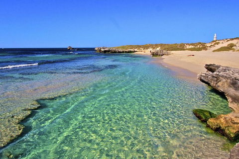 Rottnest Island Bayseeker Day Trip From Perth - Accommodation in Brisbane 5