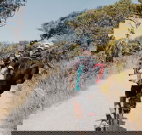 Self-Guided Point Nepean National Park Bike Hire - Accommodation in Brisbane