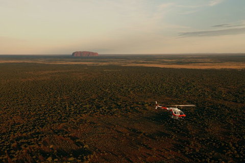 Helicopter Scenic: Lizard Safari - Accommodation in Brisbane 4